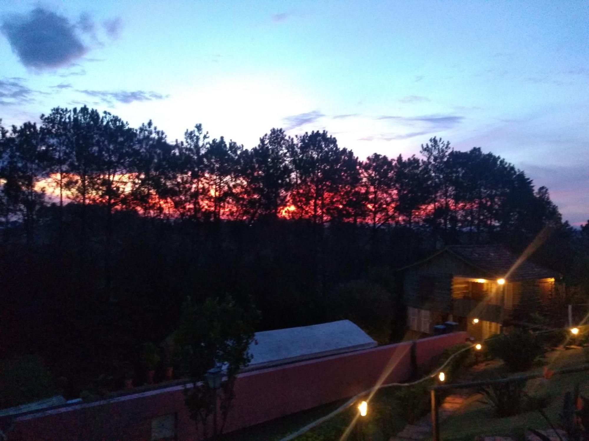 Recanto Girafas